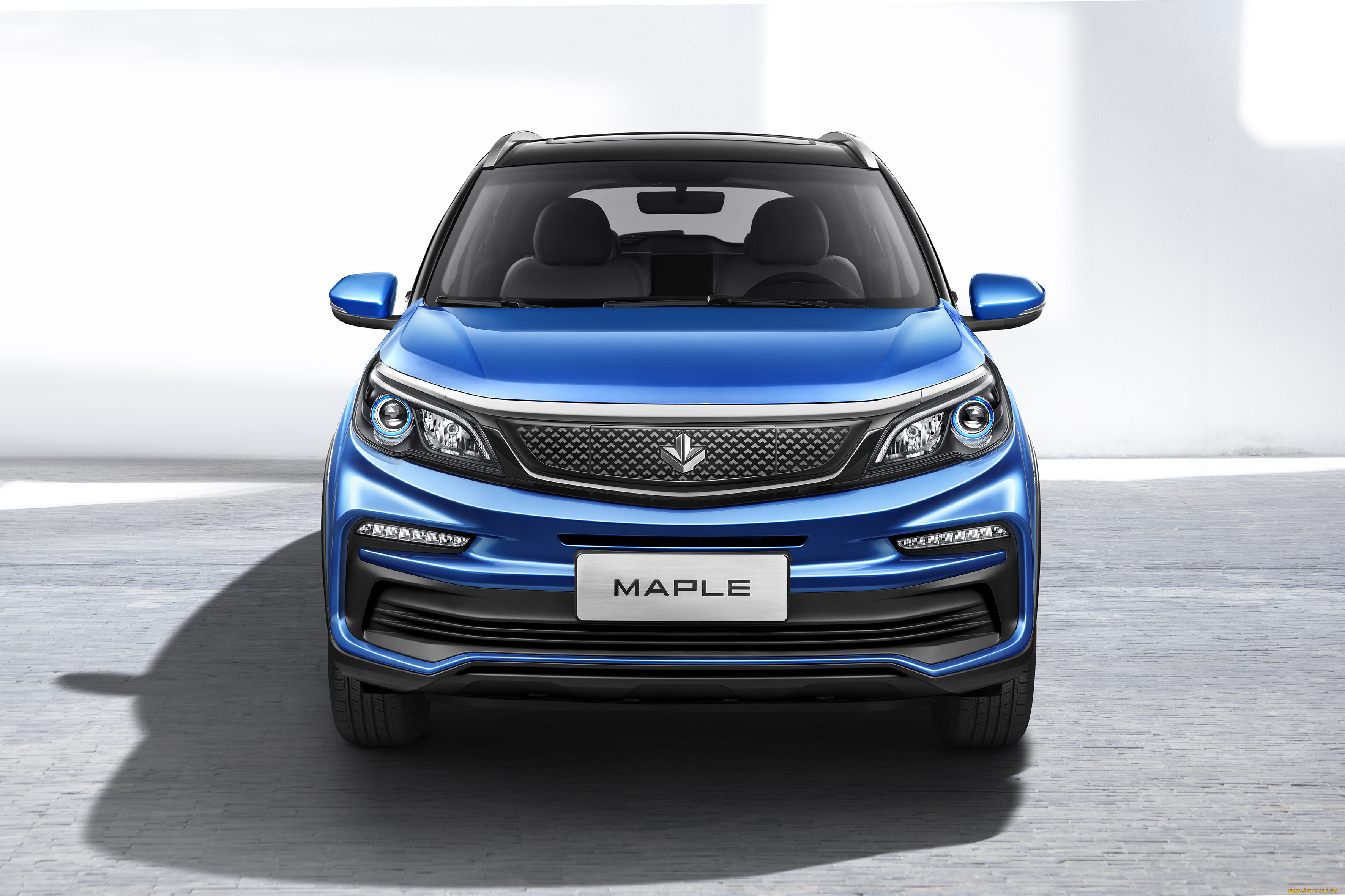 , -unsort, maple, 30x